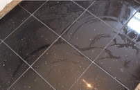 Surrey tilers